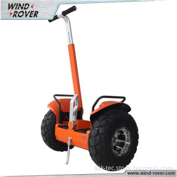 Cheap Prices Electric Scooter, Golf Car Angel Electric Scooter